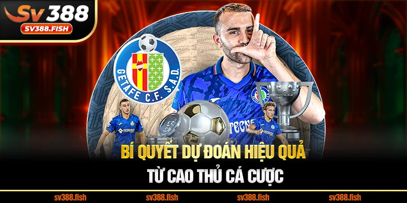 Bí quyết dự đoán hiệu quả từ cao thủ cá cược