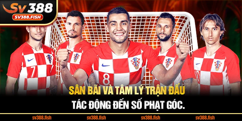 Sân bãi và tâm lý trận đấu tác động đến số phạt góc