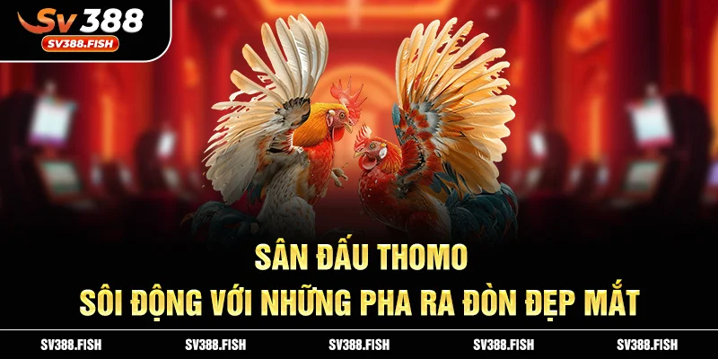 Sân đấu Thomo sôi động với những pha ra đòn đẹp mắt.